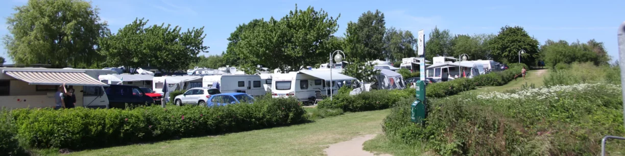 0257db21 6e4e3d30@2560w 1224x306