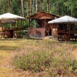 03 IMG 9169 Kopie 150x150