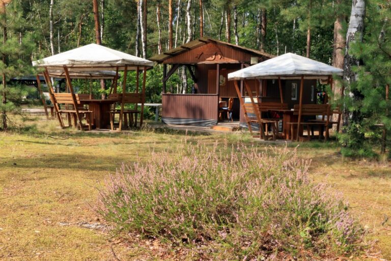 03 IMG 9169 Kopie 768x512