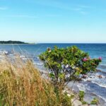 1024x768 1692195311 camping hoeckholz galerie ostsee 013 150x150