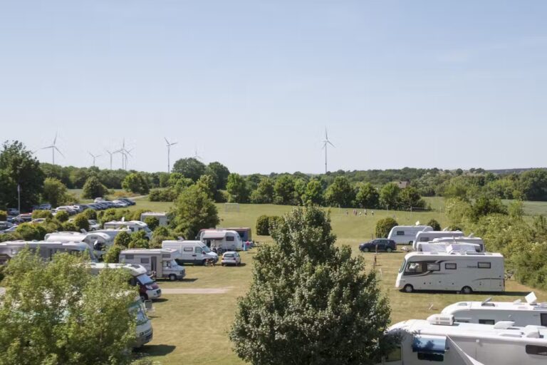 48c62ff5 2b76 4c18 9fc1 53fcb3af8de3 768x512