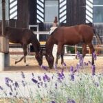 72619812 2372928962946937 6115315847843020800 o 1 150x150