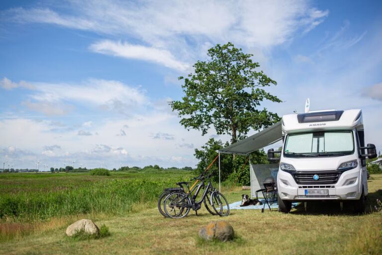 Belt Camping Fehmarn Stellplaetze auf dem Campingplatz 1185c895 cf64 4f28 9e76 aa37ae0b63ad 768x512