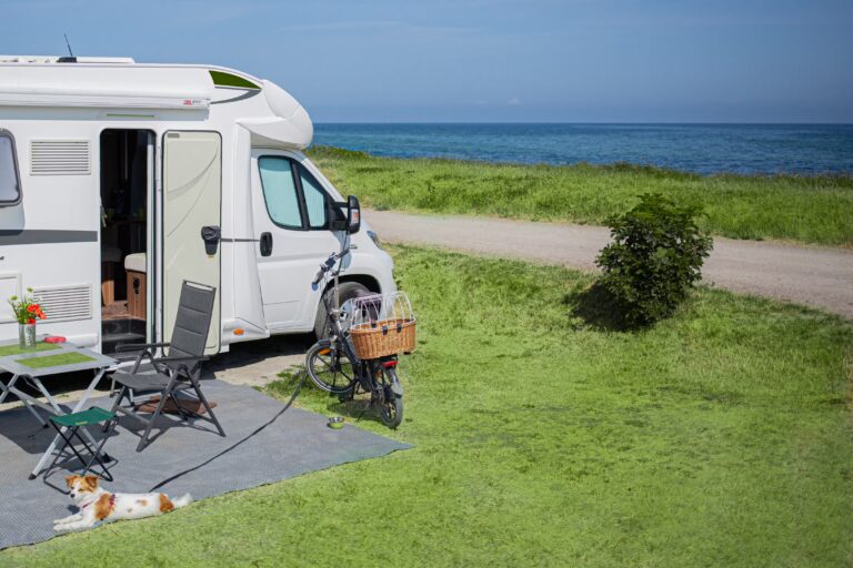 Belt Camping Fehmarn Stellplaetze mit Meerblick e564d40c f6fb 4521 a325 c0a725b21534 768x512