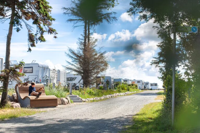 Belt Camping Fehmarn Wohnmobilstellplaetze auf dem Campingplatz 77ae5de8 a995 44df a093 c5543e817dc8 768x512