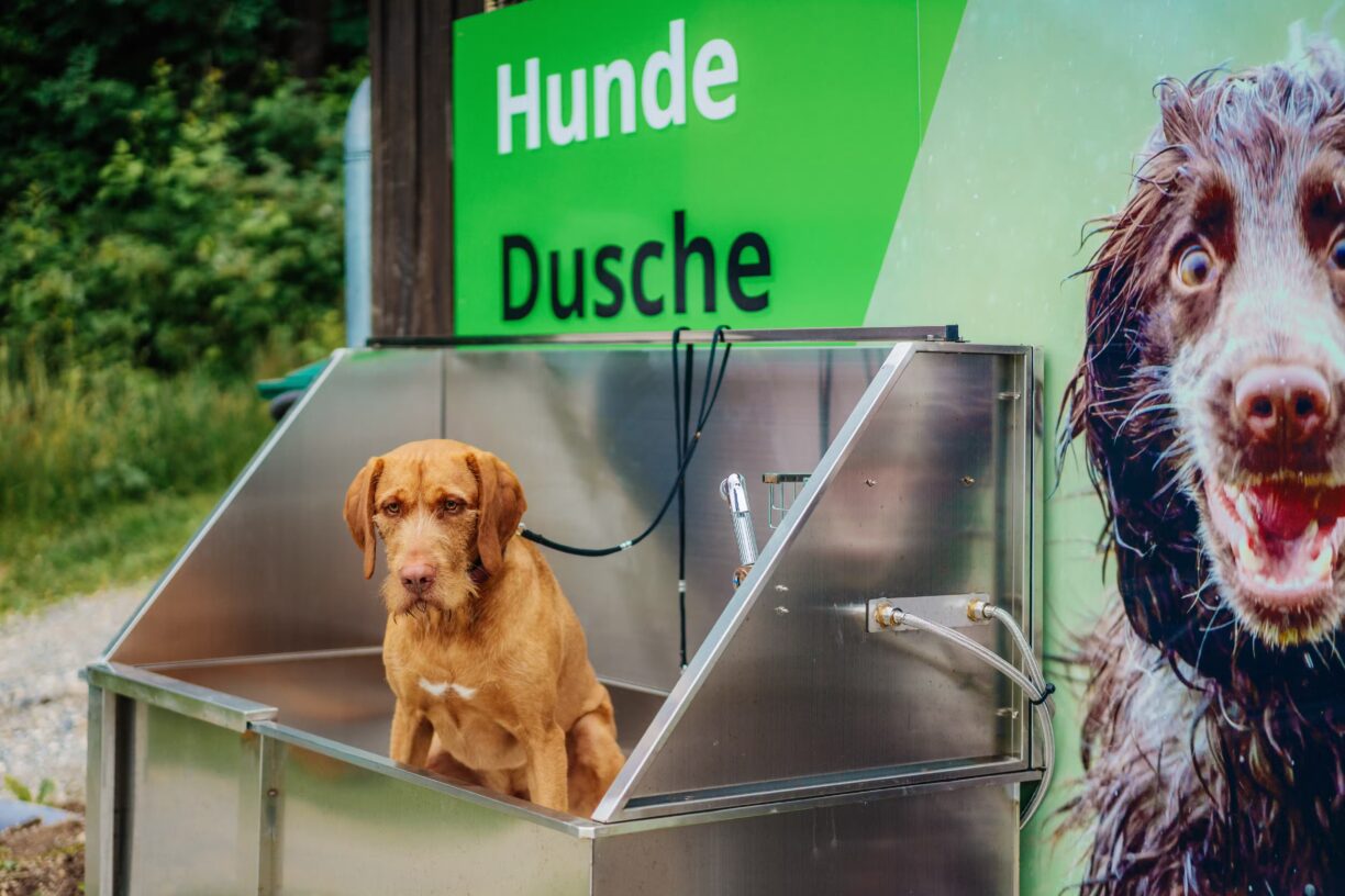 Camping Braunlage Hundedusche auf dem Campingplatz 3f326e90 4b2f 4fed 8598 ace21f643589 1224x816