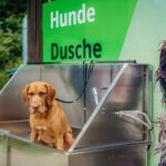 Camping Braunlage Hundedusche auf dem Campingplatz 3f326e90 4b2f 4fed 8598 ace21f643589 150x150