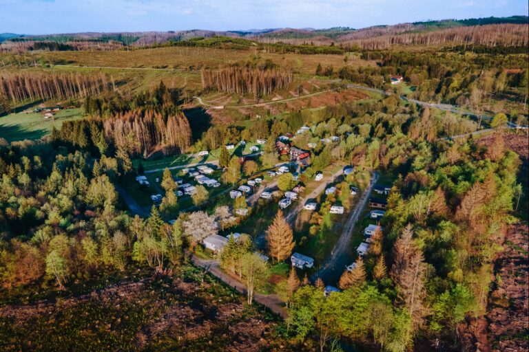 Camping Braunlage Luftaufnahme des Campingplatzes umgeben von Wald 2d8fa55e e4ef 40fb bf1b aac92260e8bc 768x512