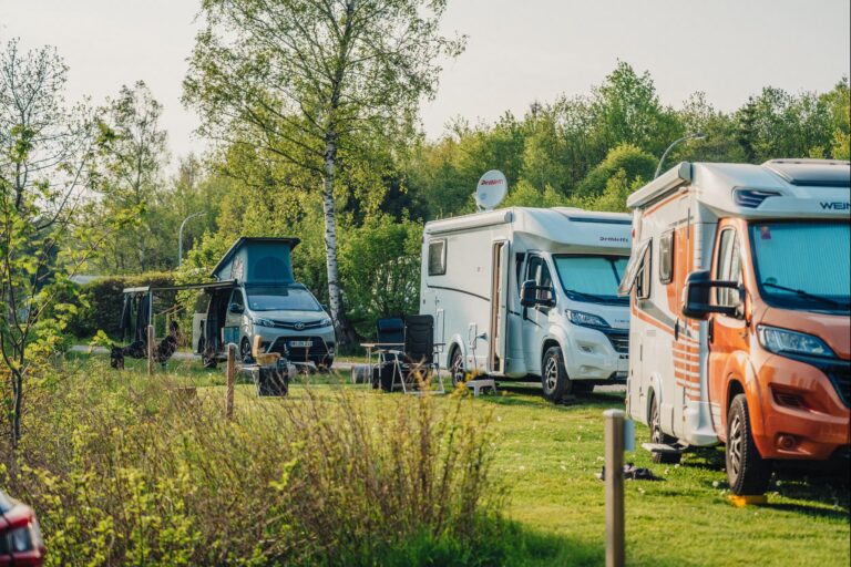 Camping Braunlage Standplatzwiese auf dem Campingplatz 6b11f421 a826 4f52 bc97 94eff9158adb 768x512