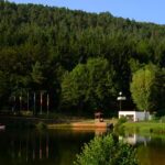 Camping Clausensee Blick vom See auf Einfahrt und Tretboote vom Campingplatz 150x150