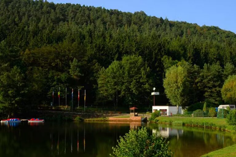 Camping Clausensee Blick vom See auf Einfahrt und Tretboote vom Campingplatz 768x512