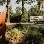 Camping De Kleine Wolf Eingang des Campingplatzes c1002b24 ca5c 4cf8 91d7 f184c22651ed 150x150