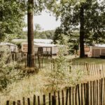 Camping De Kleine Wolf Standplaetze auf dem Campingplatz 90c62567 5766 4ad6 a9e7 204af20012b8 150x150