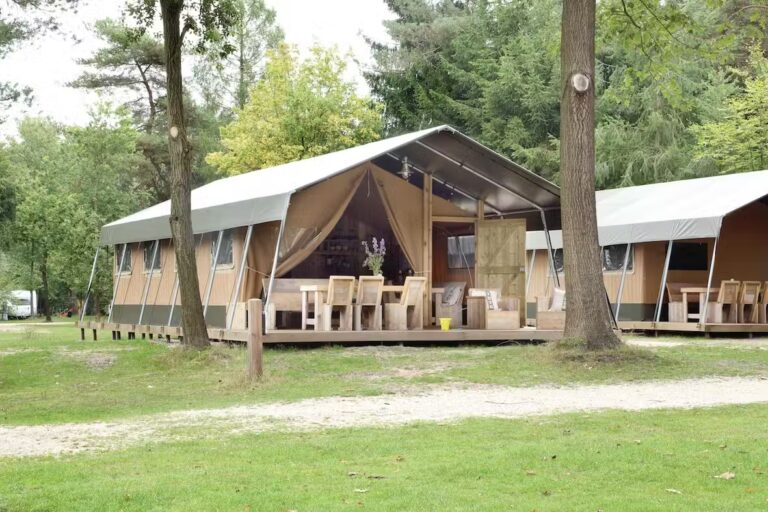 Camping De Wildhoeve Miet Safarizelt mit Terrasse 054b6267 4e55 42f4 826d ed16f8afaec7 768x512