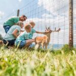 Camping Landal Sonnenberg Camper Familie am Tiergehege vom Campingplatz 150x150