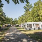 Camping Landal Sonnenberg Standplaetze auf dem Campingplatz umgeben von Baeumen 41aafe56 bfaa 4425 949f 5164e5f6d2ae 150x150