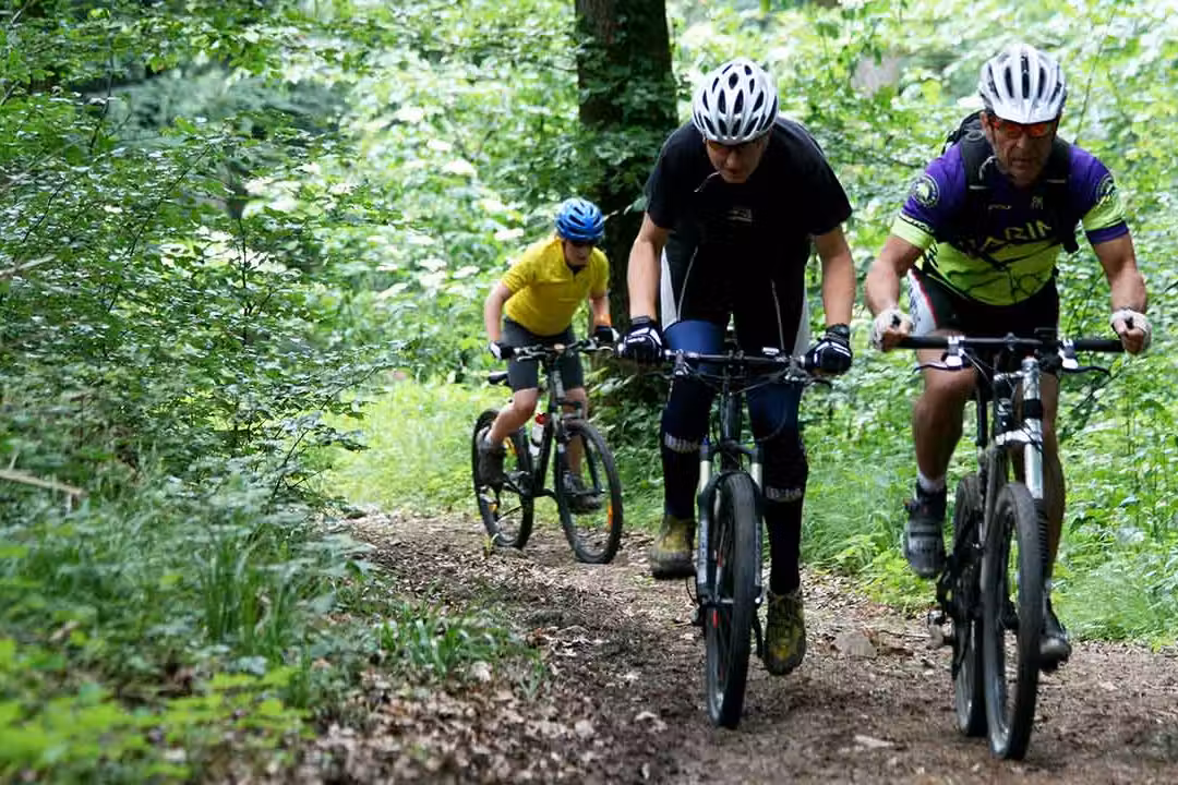 Camping Muenstertal Camper auf einer Fahrradtour in der Naehe vom Campingplatz