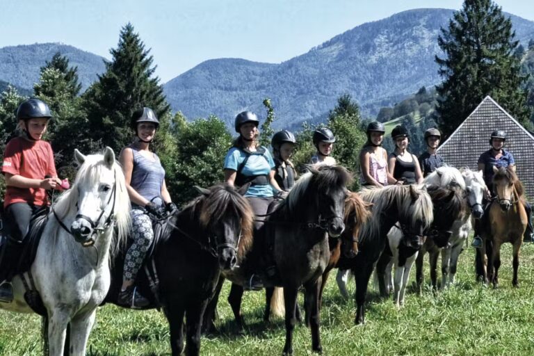 Camping Muenstertal Reiten auf dem Campingplatz 6d3dfa44 f03e 4e3b 9c71 cb186b47435c 768x512