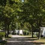 Camping Strukkamphuk Standplaetze auf dem Campingplatz 6f899964 d68a 4c7d 8311 2eda6c63bd0c 150x150