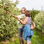 Camping Wirthshof Campinggaeste beim pfel pfluecken c81f071a a1bc 4277 a893 4c22564365fb 150x150