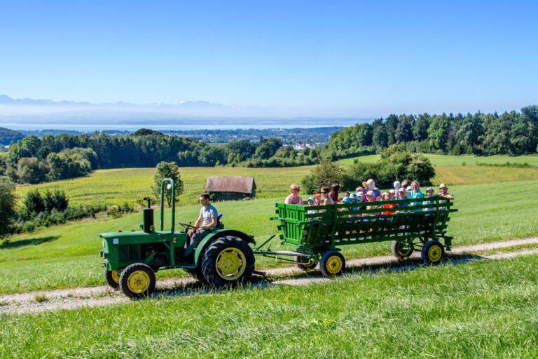 Camping Wirthshof Gaeste mit Kindern beim Ausflug in einem Traktoranhaenger durch die Landschaft mit Blick auf den Bodensee 768x512