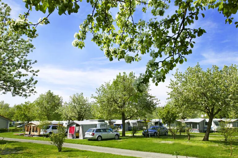 Camping Wirthshof Stellplaetze im Schatten unter Baeumen auf dem Campingplatz bei Markdorf in der Naehe des Bodensees 768x512