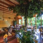 Camping Wulfener Hals Restaurant auf dem Campingplatz d47b3e59 1da2 4ff5 b6bb 9048d6bcec79 1 150x150