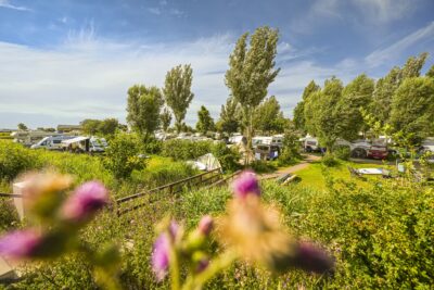 Camping Wulfener Hals Standplaetze auf dem Campingplatz 5aae8f4d 7bc3 4995 b3e0 f1fb37223f87 400x267