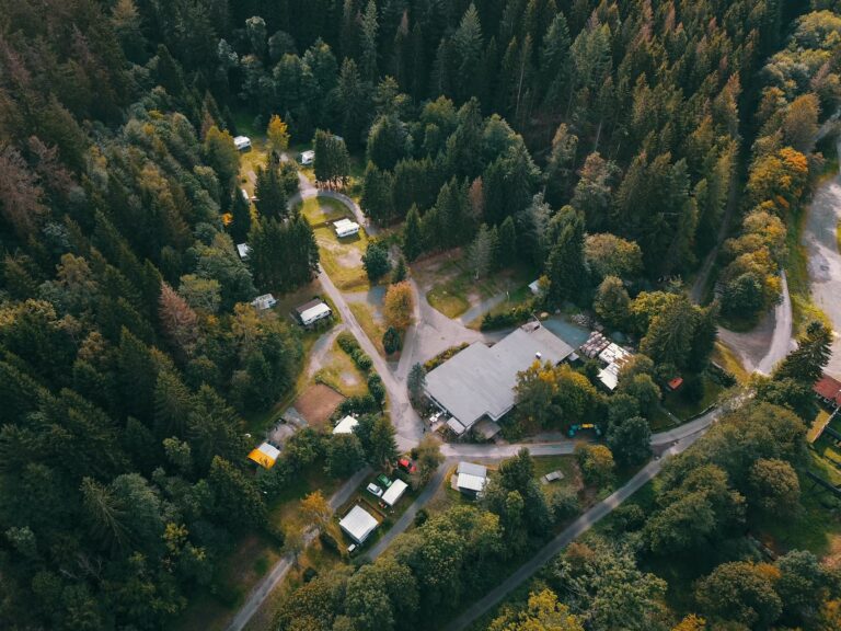 Camping im Waldwinkel Luftbild 2 768x576