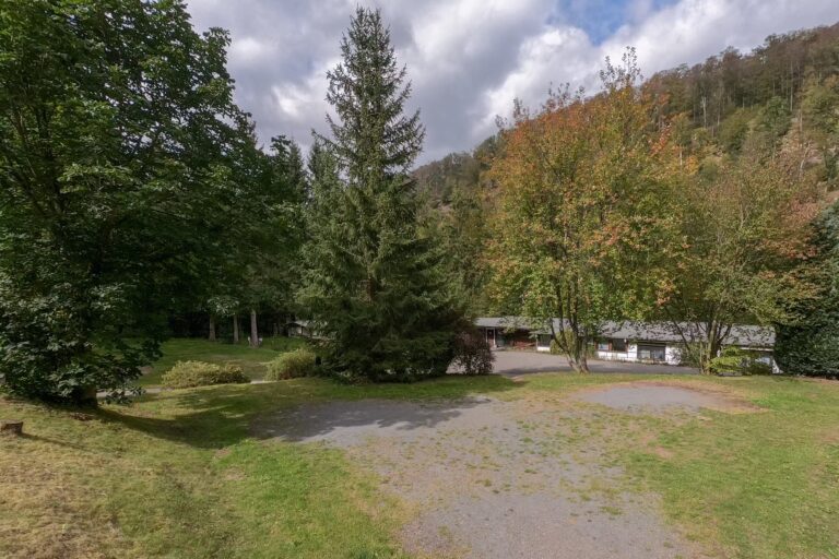 Camping im Waldwinkel Standplatz 1 768x512