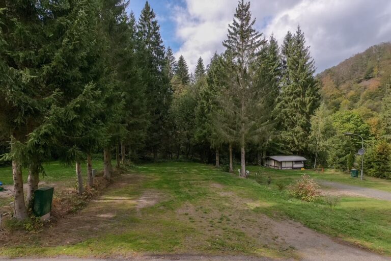 Camping im Waldwinkel Standplatz 2 768x512