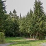 Camping im Waldwinkel Standplatz 5 150x150