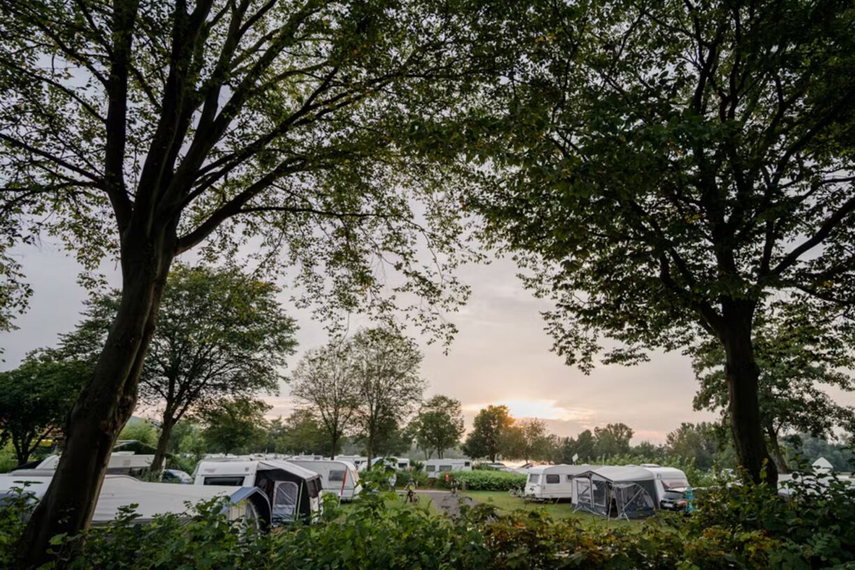 Campingpark Kalletal Blick auf die Standplaetze auf der Wiese 46dd476a 9ffa 4d96 b312 fd45a4b1dae5 1224x816