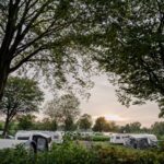 Campingpark Kalletal Blick auf die Standplaetze auf der Wiese 46dd476a 9ffa 4d96 b312 fd45a4b1dae5 150x150