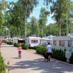 Campingpark Kuehlungsborn Camper mit Fahrraedern auf dem Gehweg entlang der Stellplaetze 150x150
