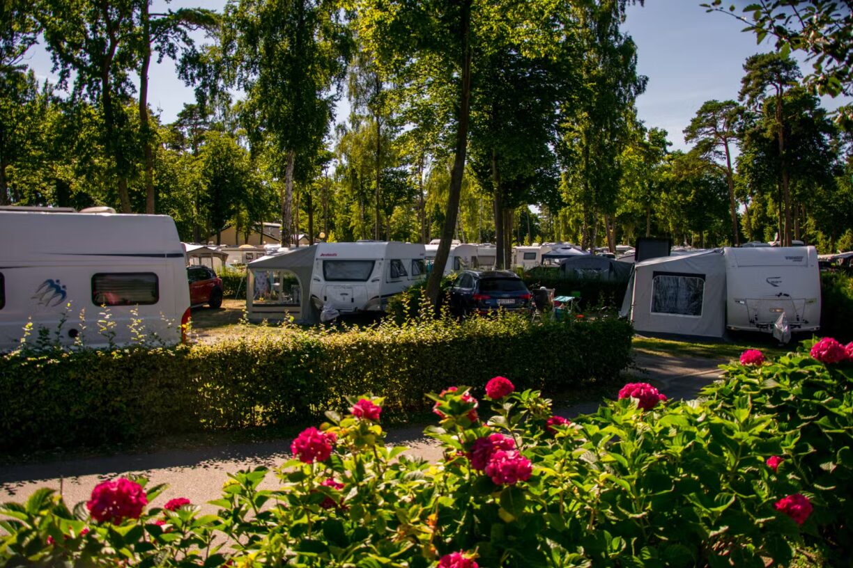 Campingpark Kuehlungsborn Wohnwagenstellplatz und Wohnmobilstellplatz vom Campingplatz im Gruenen zwischen Baeumen 1224x816