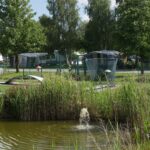 Campingpark LuxOase Teich an der Minigolfanlage auf dem Campingplatz c811ebbf 4bff 48c9 b925 df1ff45a1538 150x150