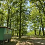 Campingplatz Am Kamernschen See Eingangsbereich des Campingplatzes c28029a4 fa3b 455f 823e 03c925ea2ebf 150x150