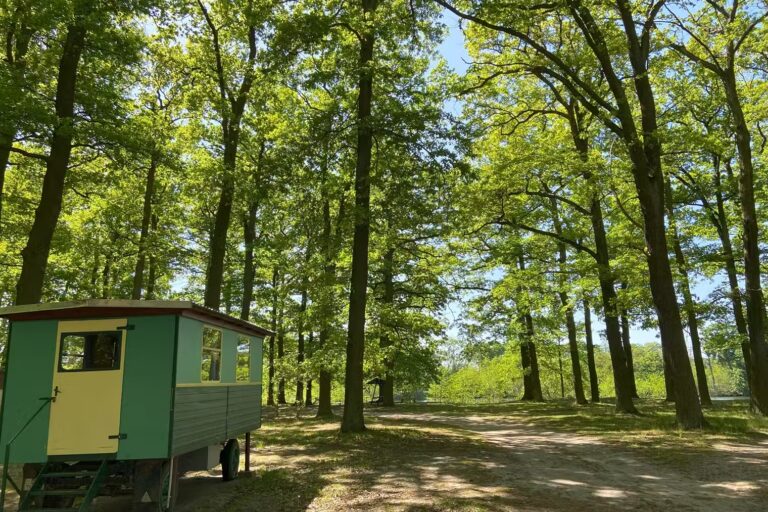 Campingplatz Am Kamernschen See Eingangsbereich des Campingplatzes c28029a4 fa3b 455f 823e 03c925ea2ebf 768x512