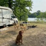 Campingplatz Am Kamernschen See Hunde willkommen auf dem Campingplatz 6a12553c b2ab 48f7 a103 04e043984cf7 150x150