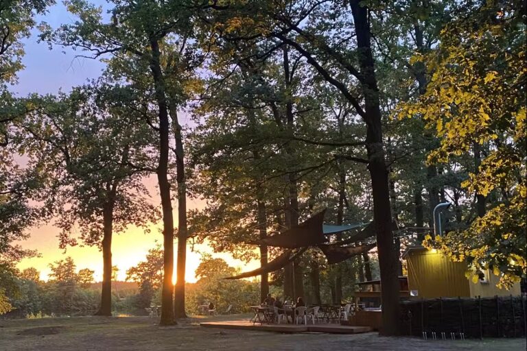 Campingplatz Am Kamernschen See Terrasse der Gastronomie umgeben von Baeumen bei Sonnenuntergang 88205c8f 53c6 4c29 8920 03783b235624 768x512