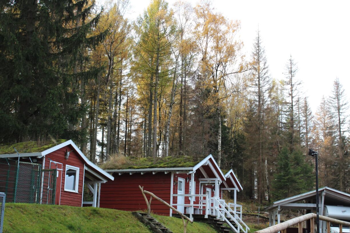 Campingplatz Am Schierker Stern Mobilheime mit Veranda auf dem Campingplatz 22fb275c 81a3 436b 8677 8bb3891567d8 1224x816