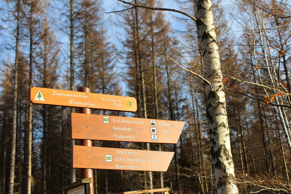 Campingplatz Am Schierker Stern Wegweiser zu Wanderwegen in der Umgebung des Campingplatzes d1d0f5ab 8bd5 4643 837e c63894ca4b5f 1224x816