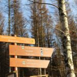 Campingplatz Am Schierker Stern Wegweiser zu Wanderwegen in der Umgebung des Campingplatzes d1d0f5ab 8bd5 4643 837e c63894ca4b5f 150x150