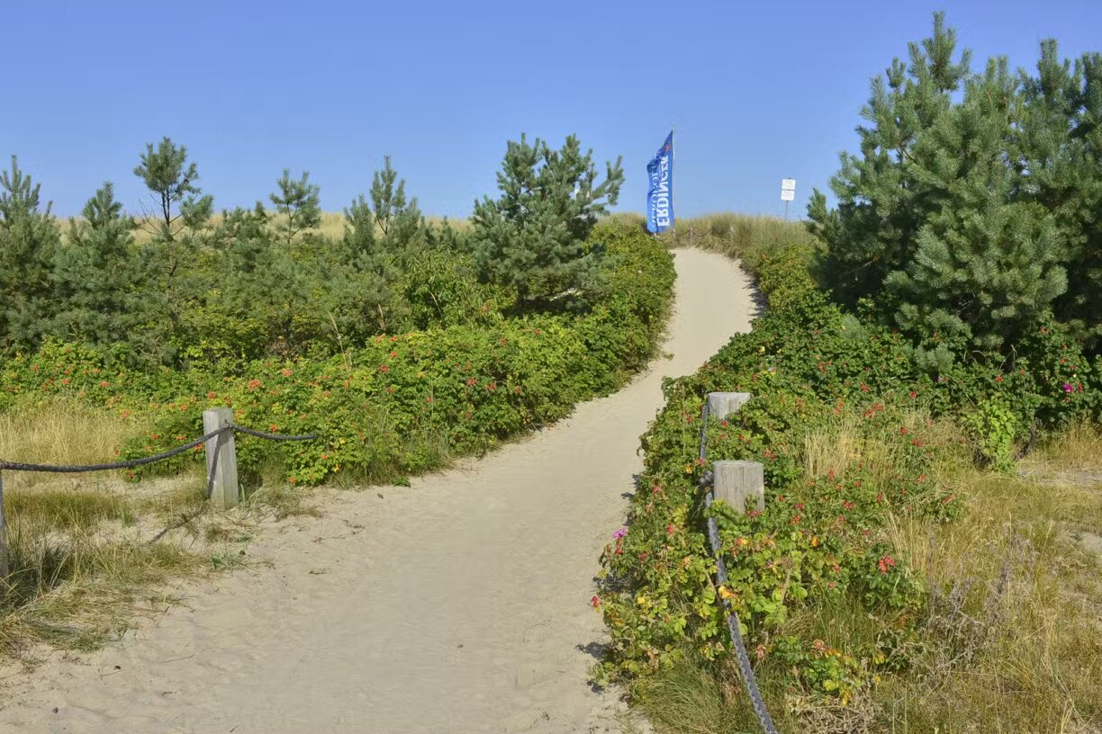 Campingplatz An den Strandduenen Blick auf den Weg zum Strand 89e0d643 ac30 48d7 be58 841d8d6942a6 1224x816