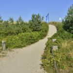Campingplatz An den Strandduenen Blick auf den Weg zum Strand 89e0d643 ac30 48d7 be58 841d8d6942a6 150x150