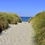 Campingplatz An den Strandduenen Blick auf den Weg zum Strand a4d6db42 fc44 4571 b23c f8d497cd6de8 150x150
