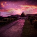 Campingplatz Hetzingen Gelaende vom Campingplatz im Morgenrot 150x150