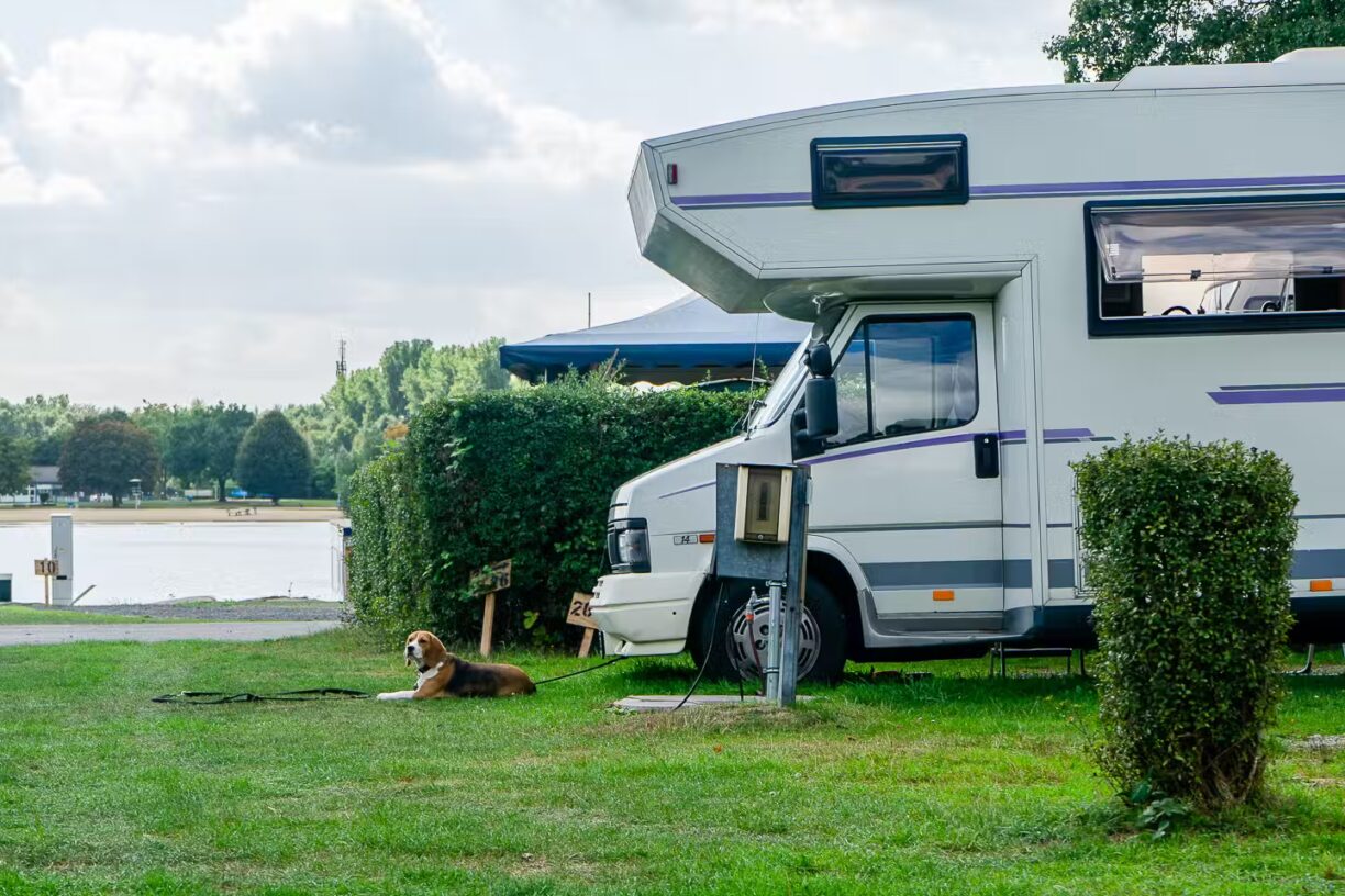 Campingplatz Unterbacher See Nord Standplatz Hund 1224x816