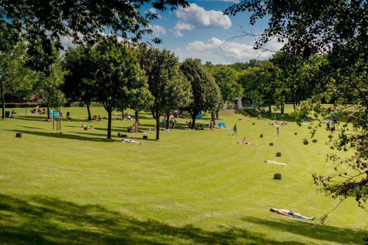 Campingplatz am Badesee Coswig Koetitz Die Gaeste liegen in der Sonne auf einem grossen gruenen Rasen 1224x816